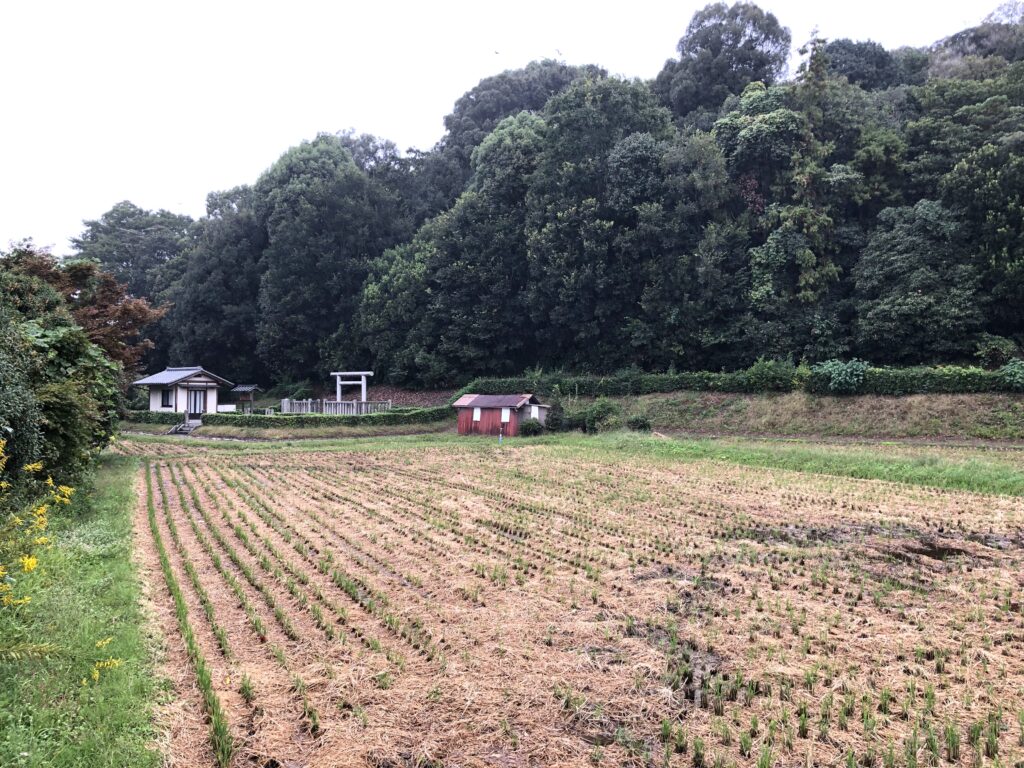 正面からの箸墓古墳