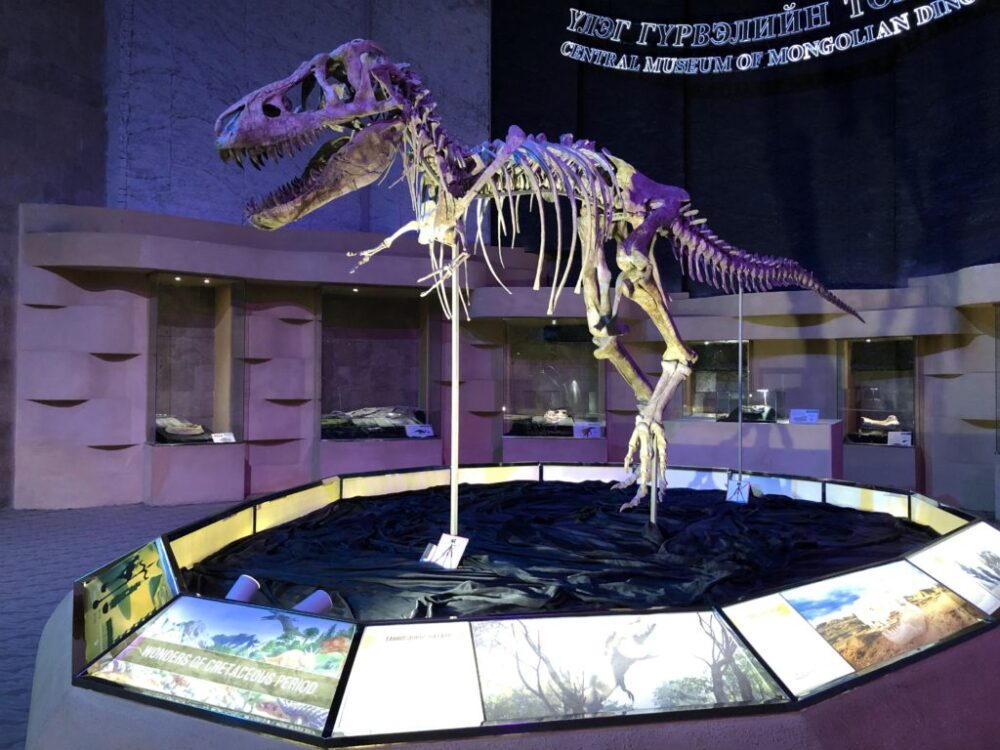 恐竜の展示その１