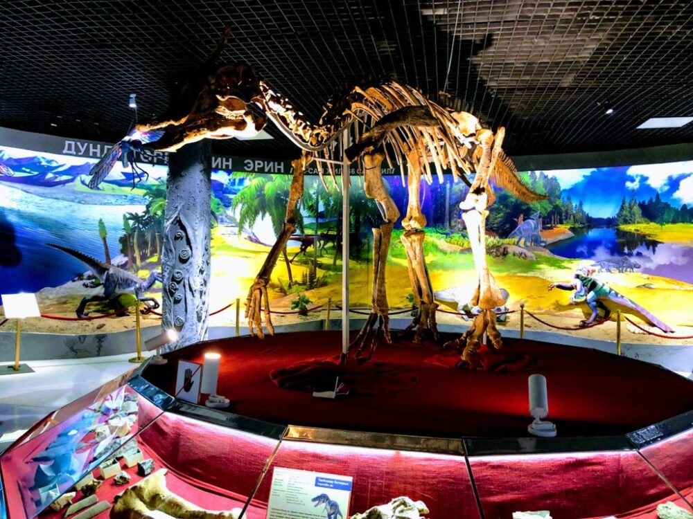 恐竜の展示その２