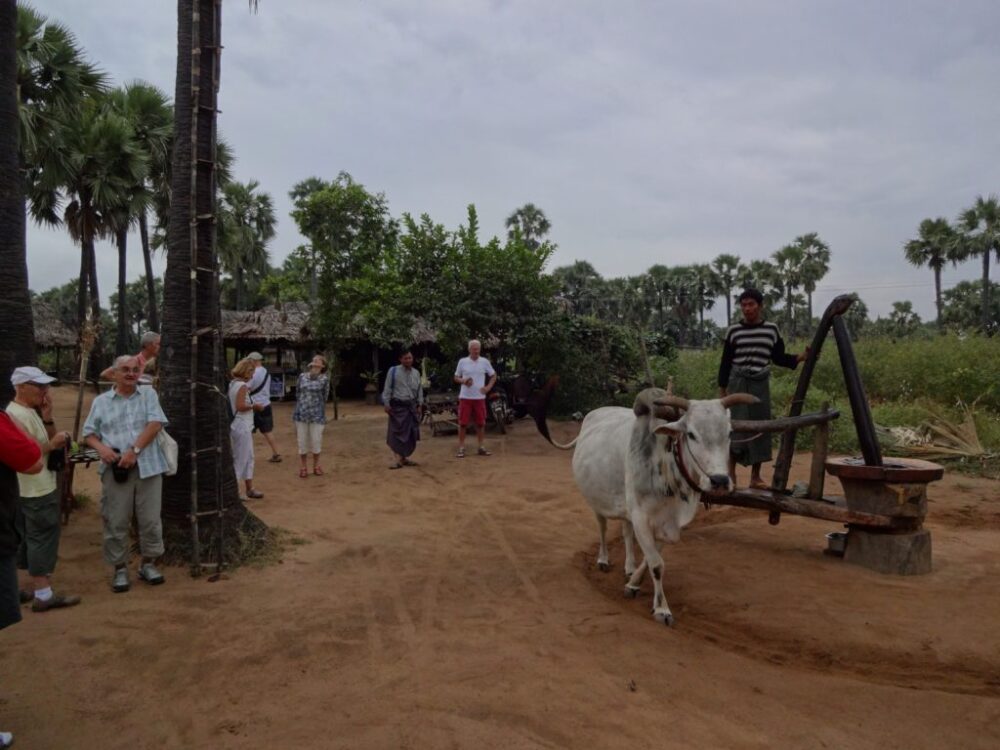 砂糖菓子やヤシ酒のお土産屋
