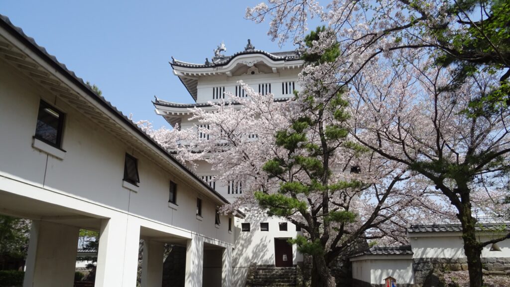 行田市の忍城と桜の木
