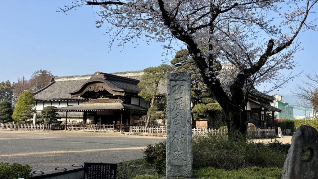 川越城と満開の桜